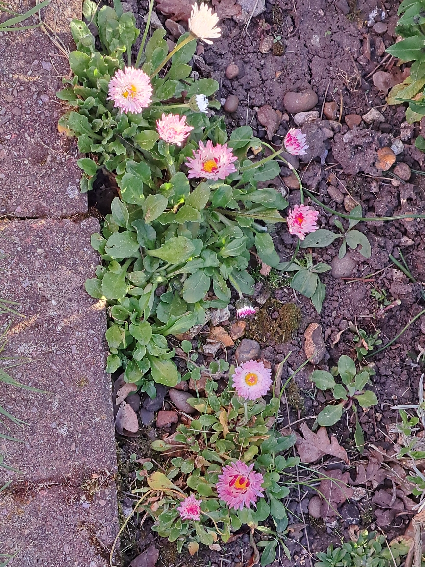 Resize_20250407_181639_9418.jpg
