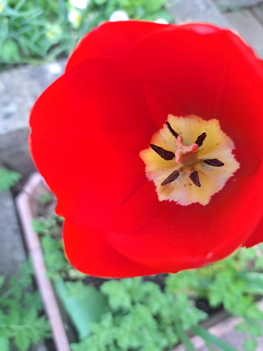 Resize_20250418_090404_4668.jpg