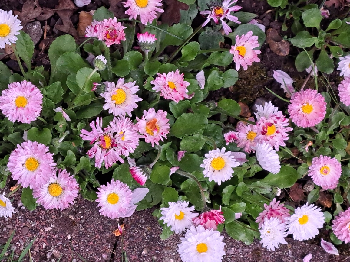 Resize_20250426_174050_0349.jpg