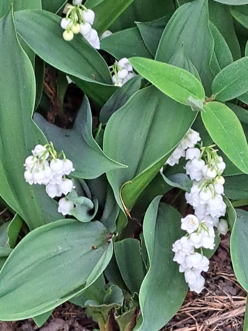 Resize_20250426_174053_3989.jpg