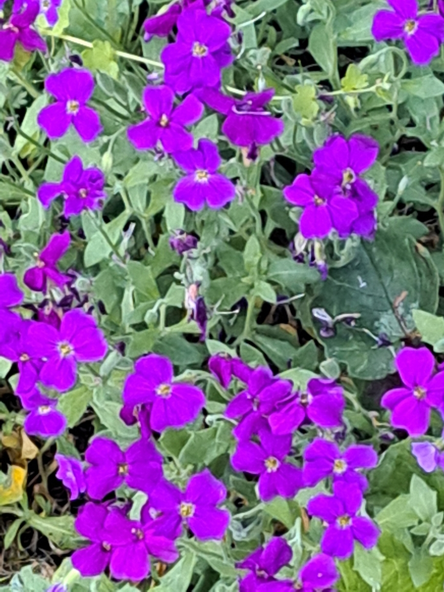 Resize_20250501_202230_0137.jpg