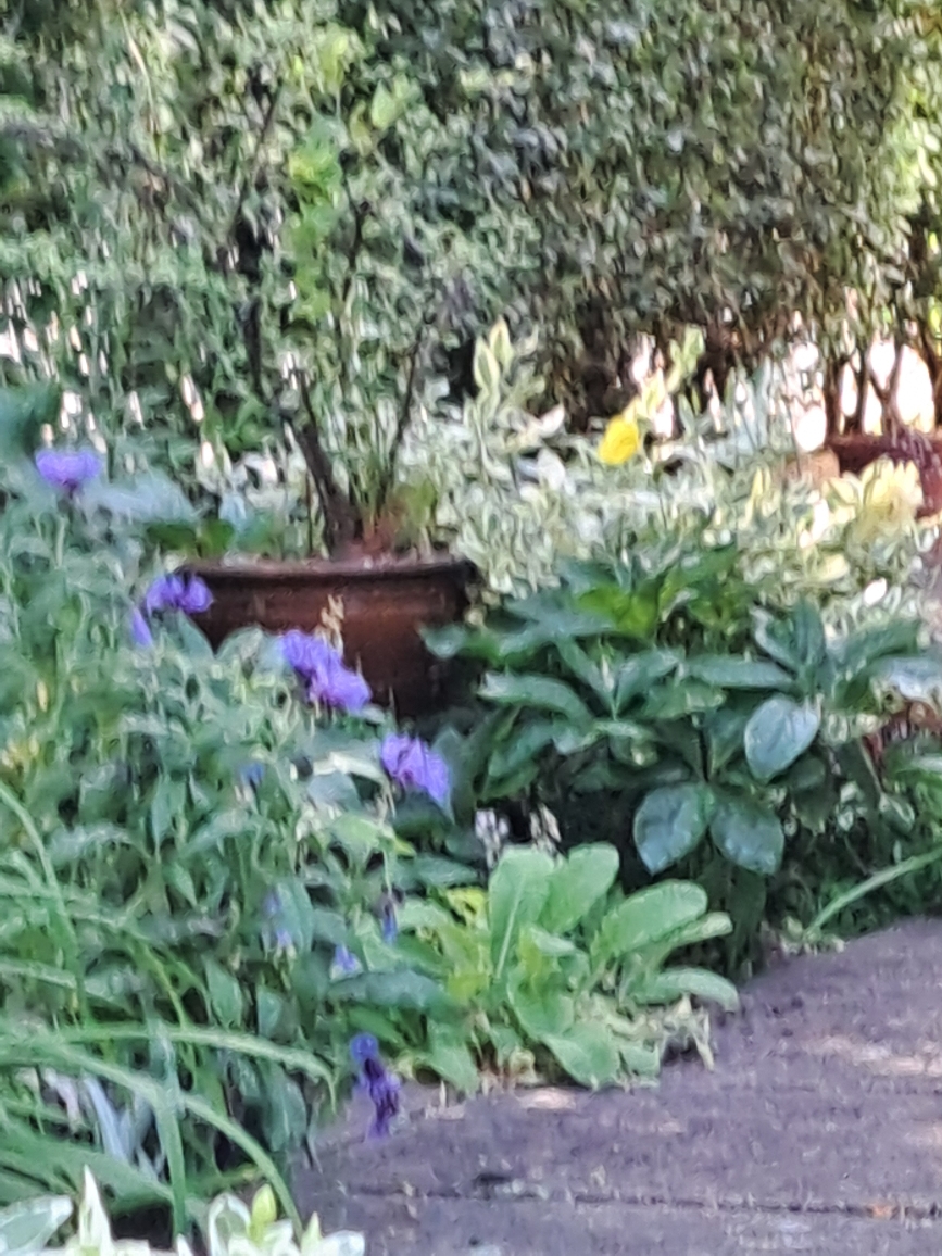 Resize_20250521_095020_0296.jpg