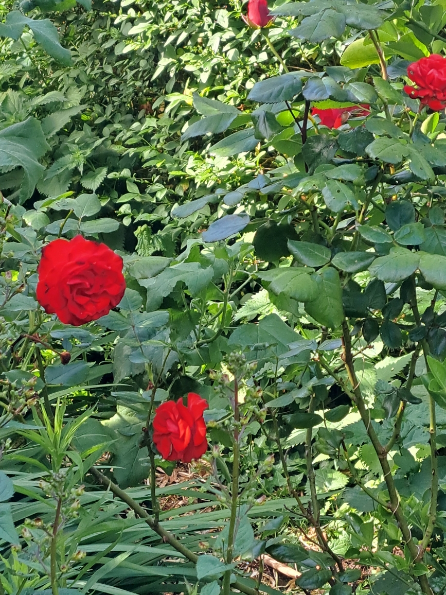 Resize_20250523_093835_5480.jpg