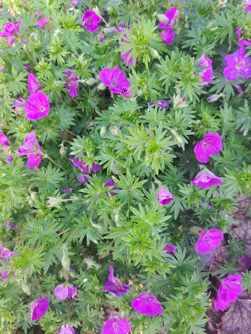 Resize_20250523_093841_1998.jpg