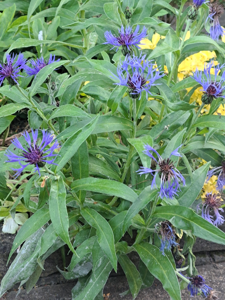 Resize_20250523_093845_5975.jpg