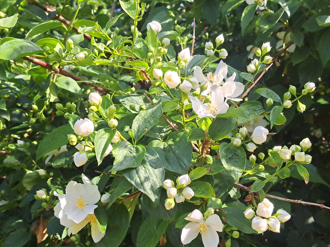 Resize_20250523_093846_6429.jpg