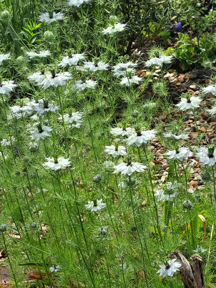 Resize_20250528_181300_0616.jpg