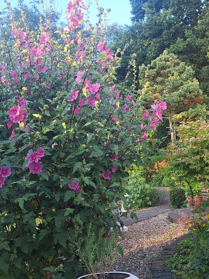 Resize_20250616_204437_7139.jpg