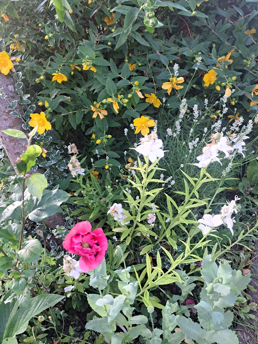 Resize_20250616_204444_4125.jpg