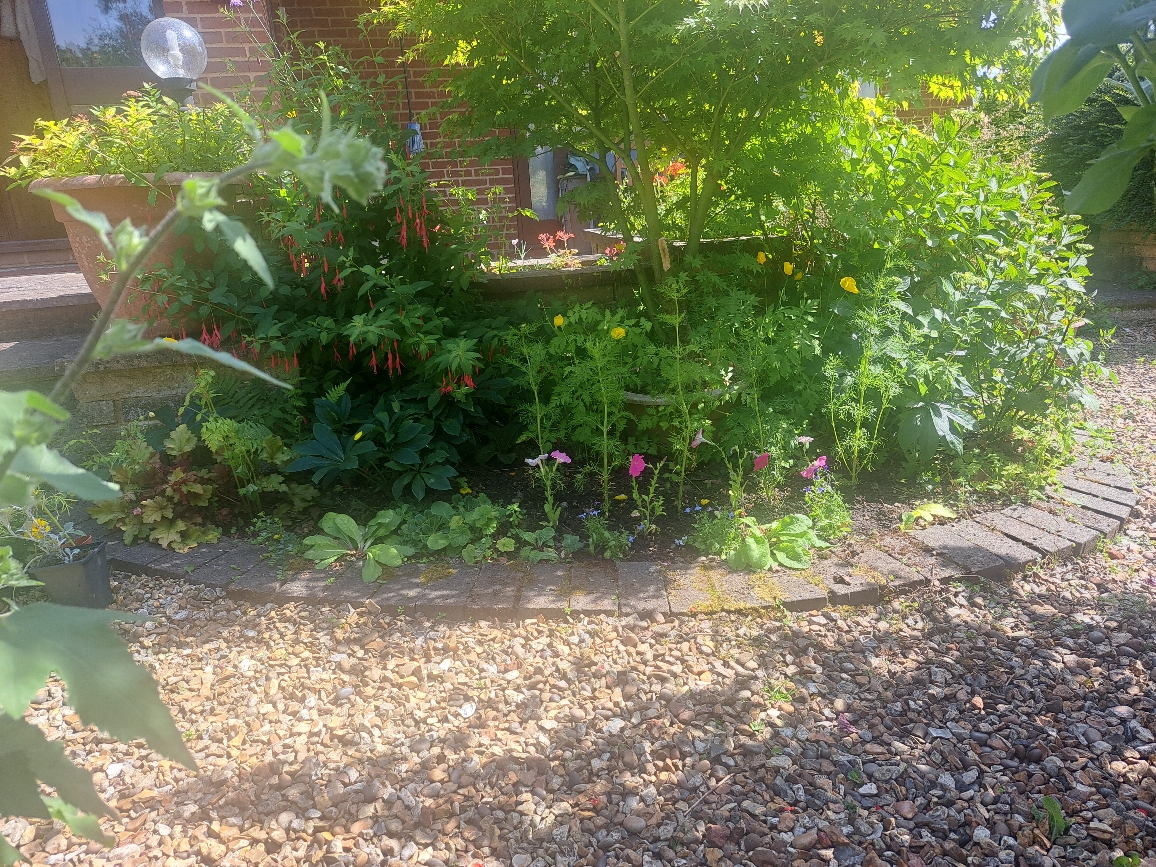 Resize_20250621_154700_0190.jpg