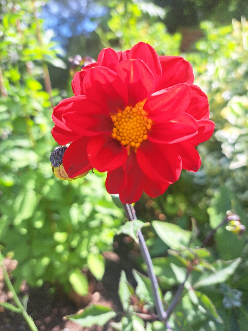 Resize_20250622_114413_3660.jpg