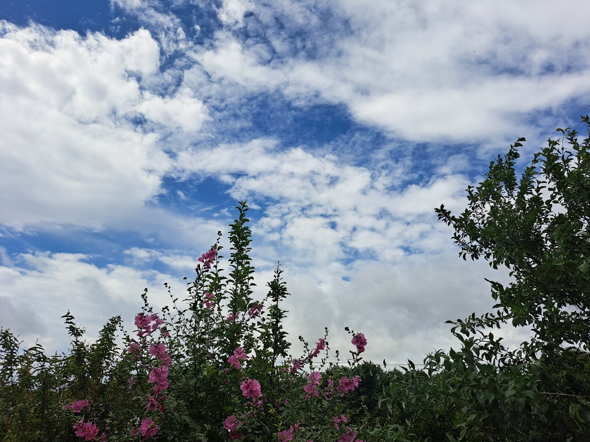 Resize_20250626_122112_2339.jpg