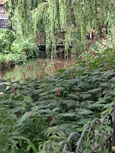 Resize_20250724_094316_6790.jpg
