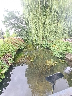 Resize_20250724_094316_6924.jpg