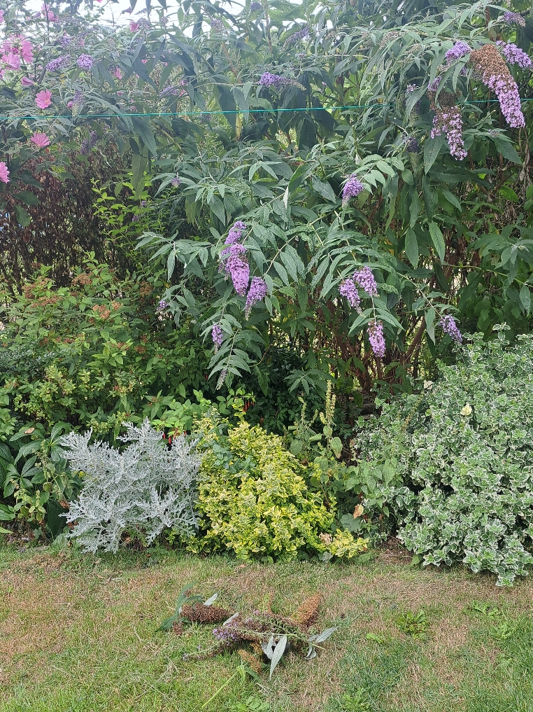 Resize_20250729_121233_3839.jpg