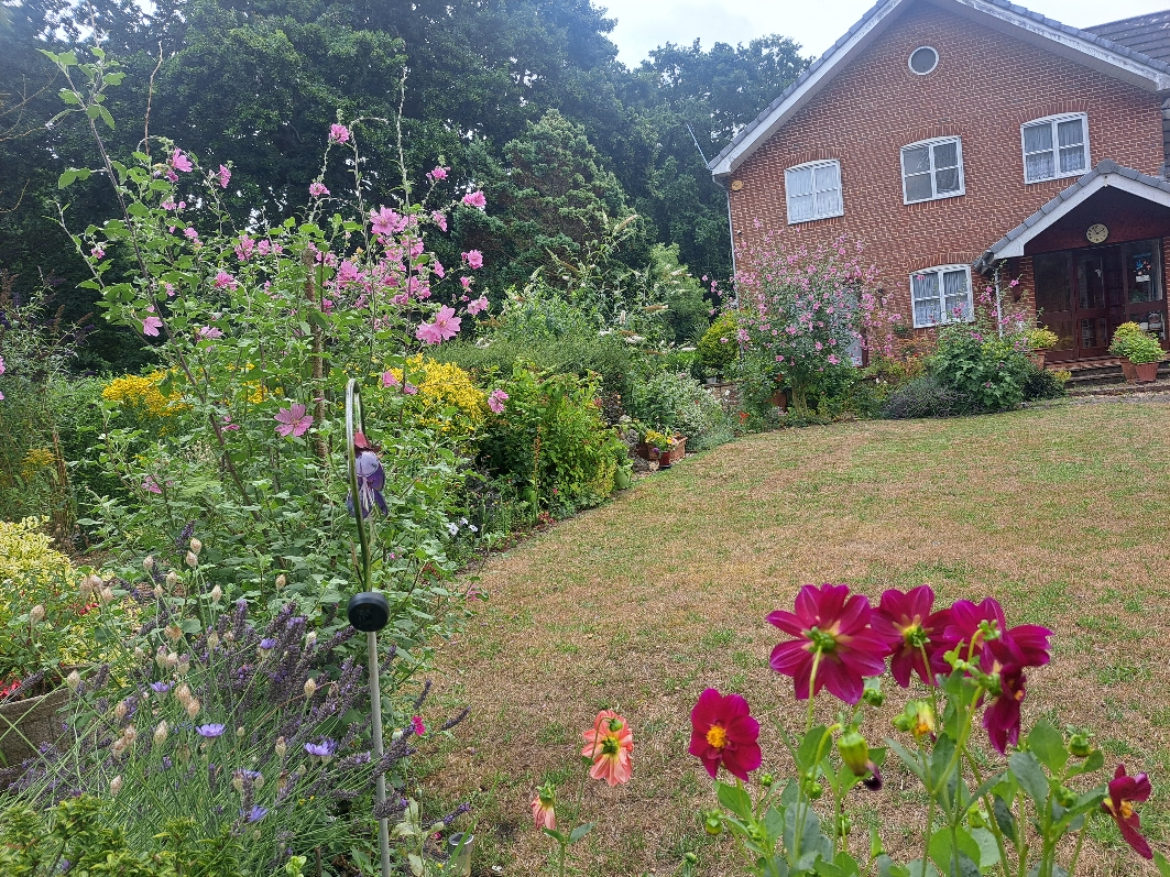 Resize_20250729_132523_3765.jpg