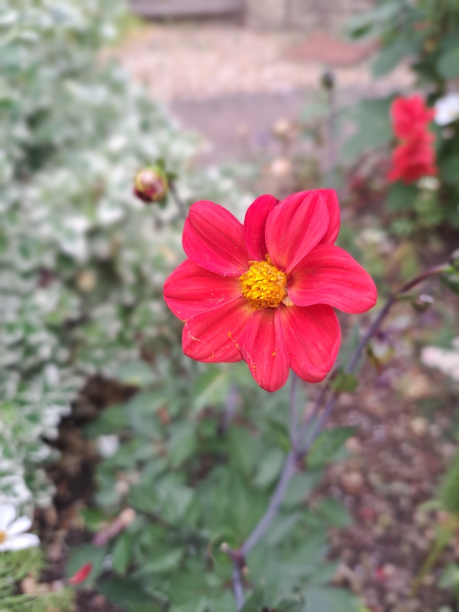 Resize_20250814_083801_1863.jpg