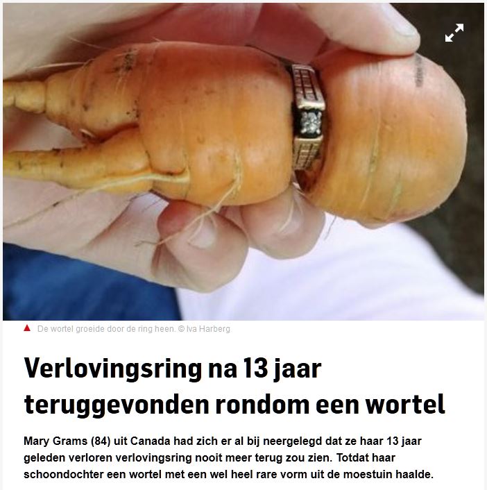 ring.JPG