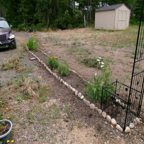 rock garden 2024 right side.jpg