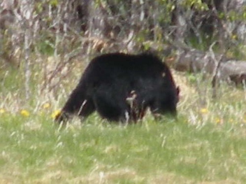 RSCN7718.JPG