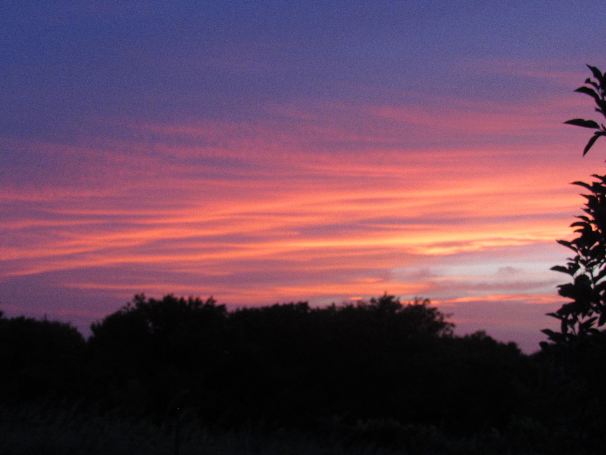 Sahara Sunset.jpg