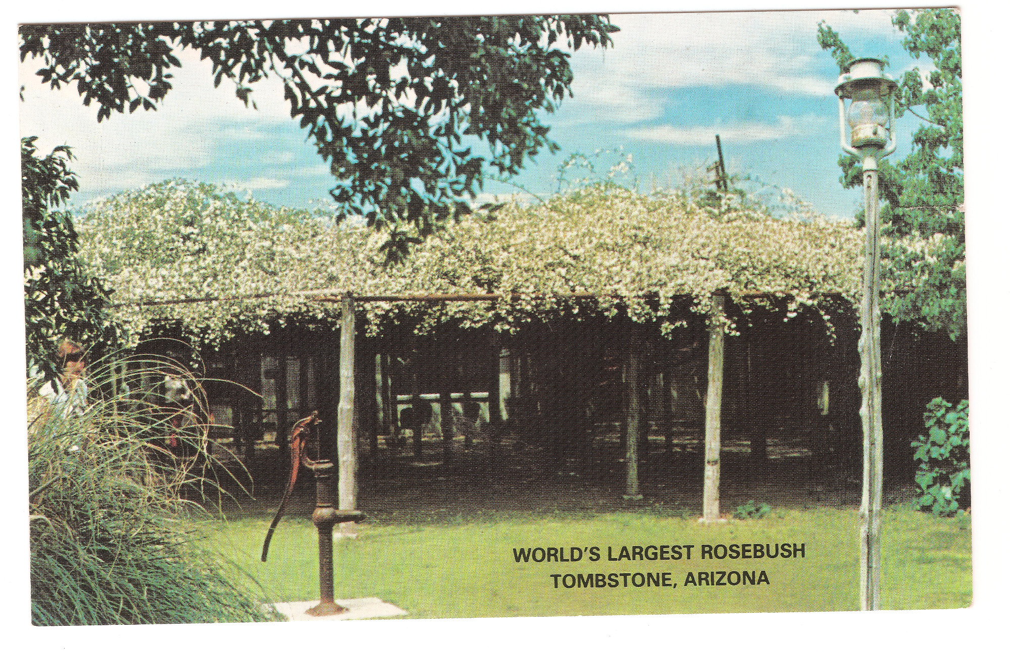 Scanned Document.jpg