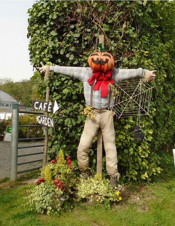 scarecrow.jpg