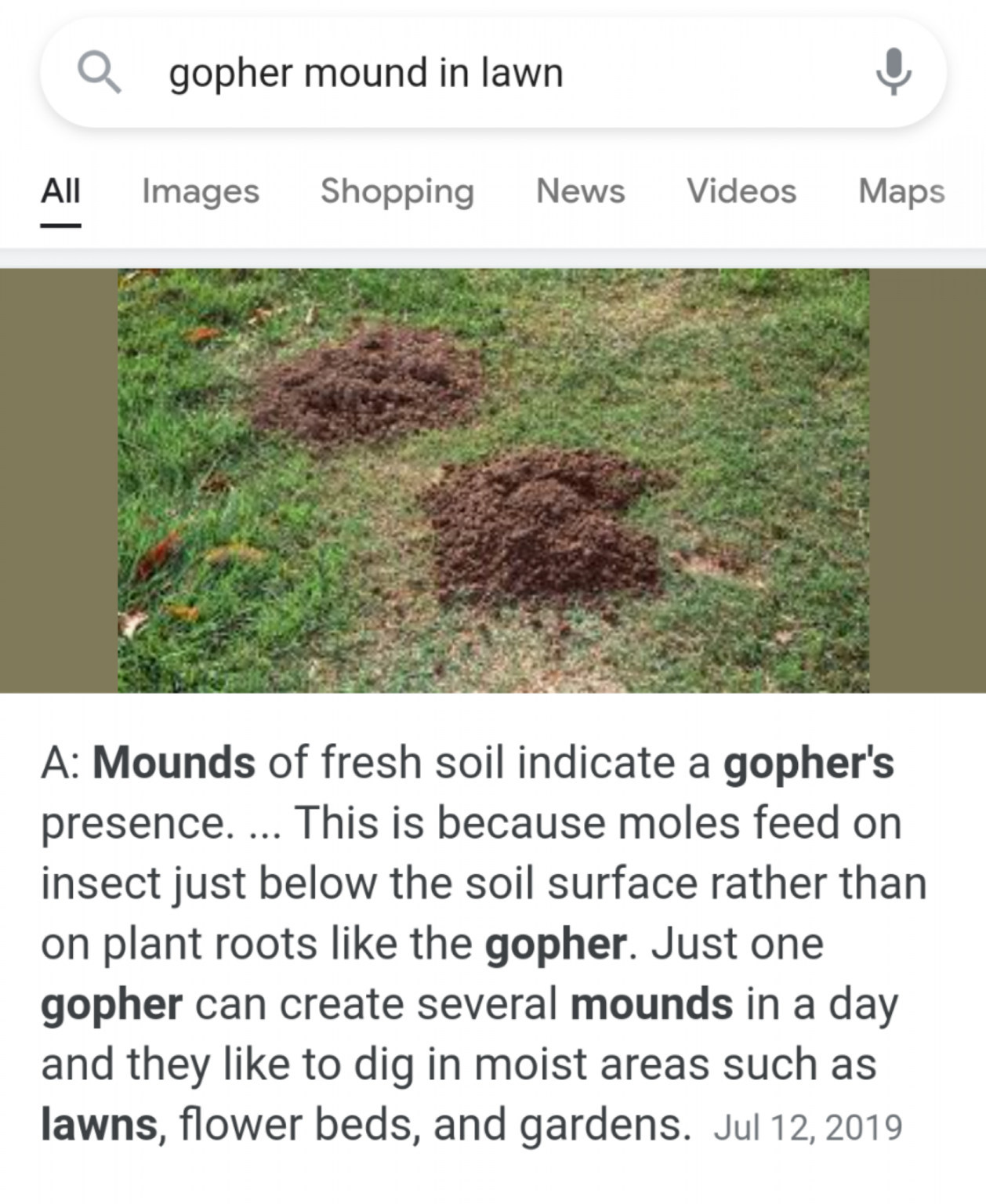 Screenshot_20210713-225928.png