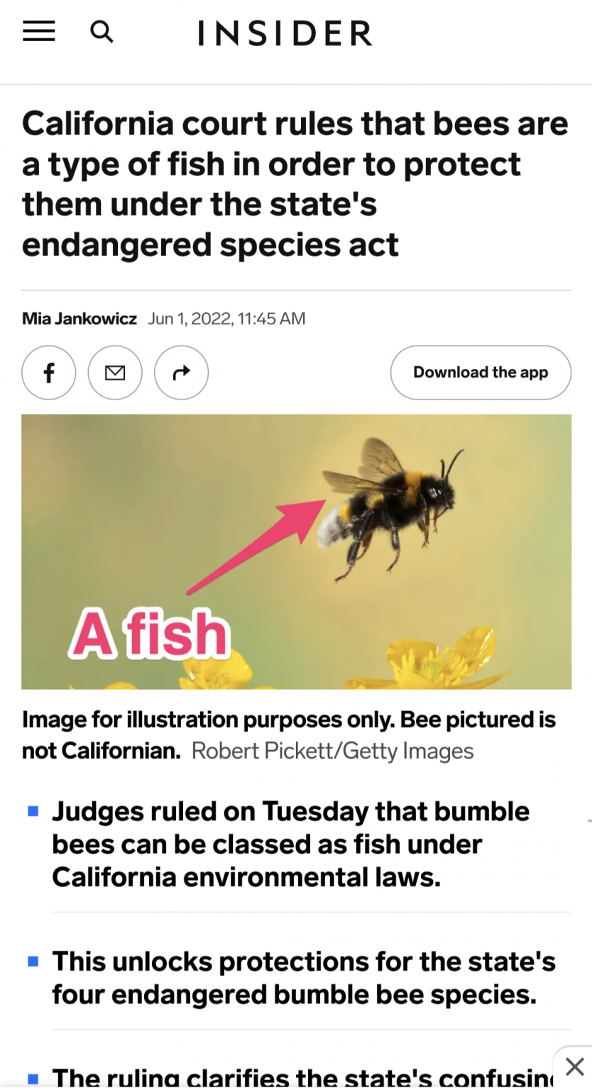 Screenshot_20220603-100007.png