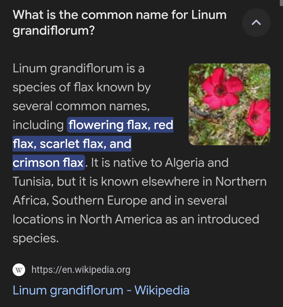 Screenshot_20250331-121931.jpg