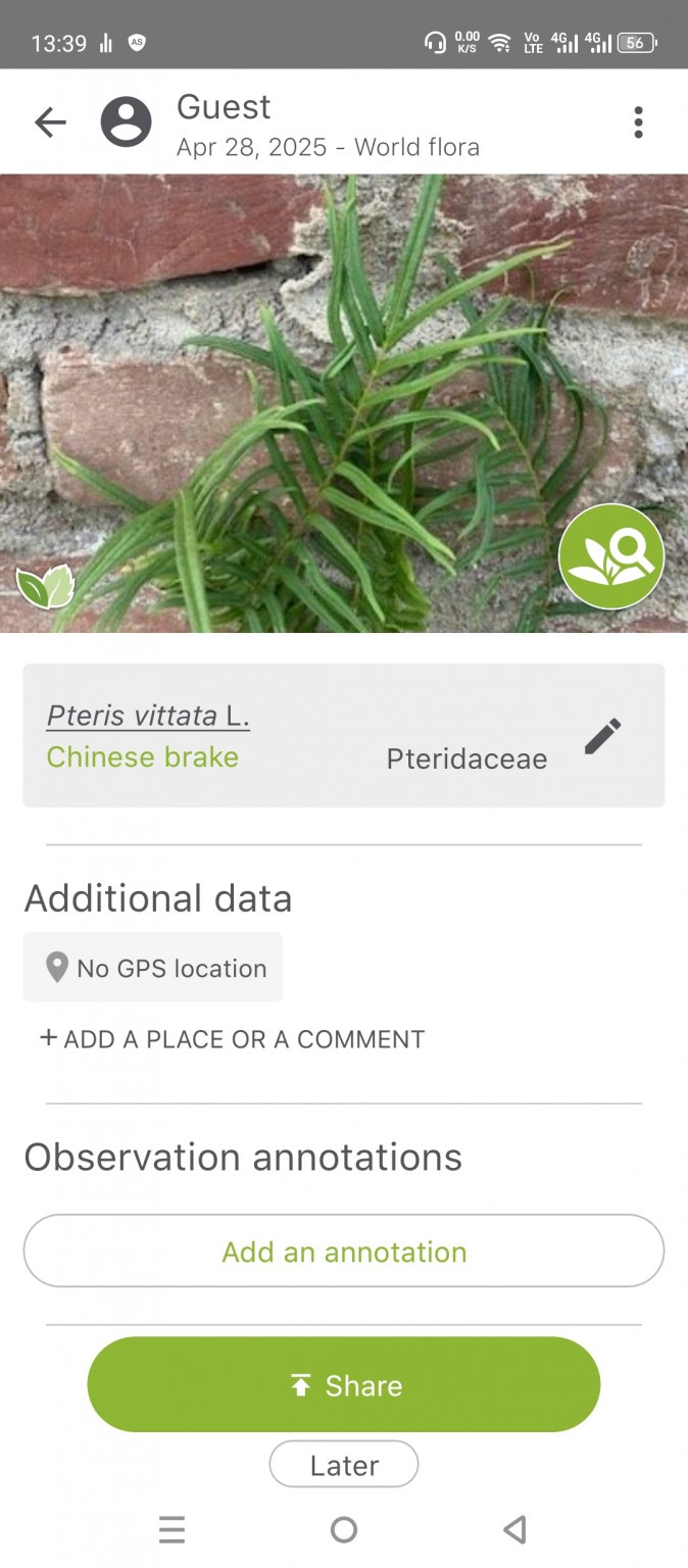 Screenshot_20250428-133951.jpg
