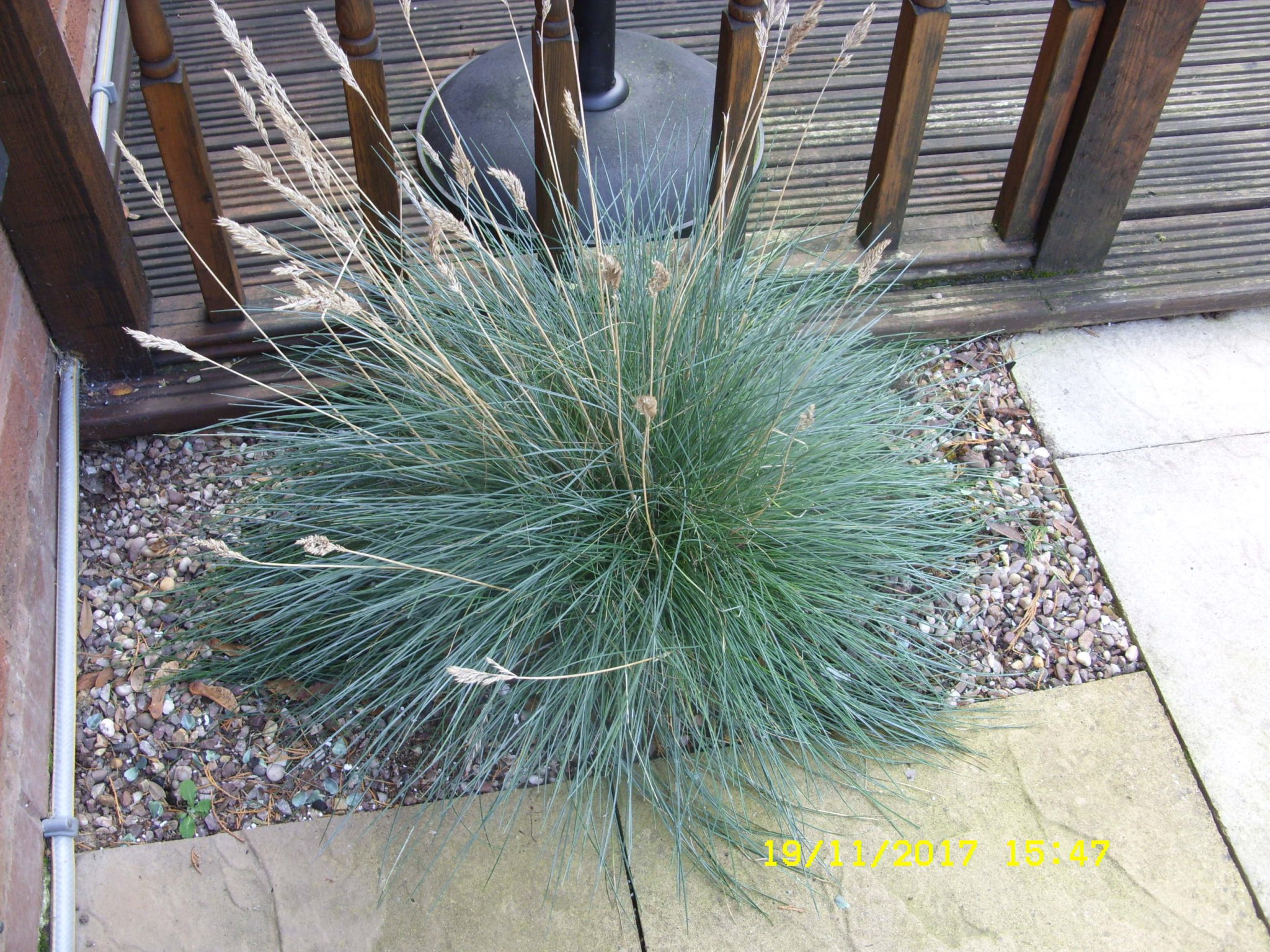 SDC13170.JPG