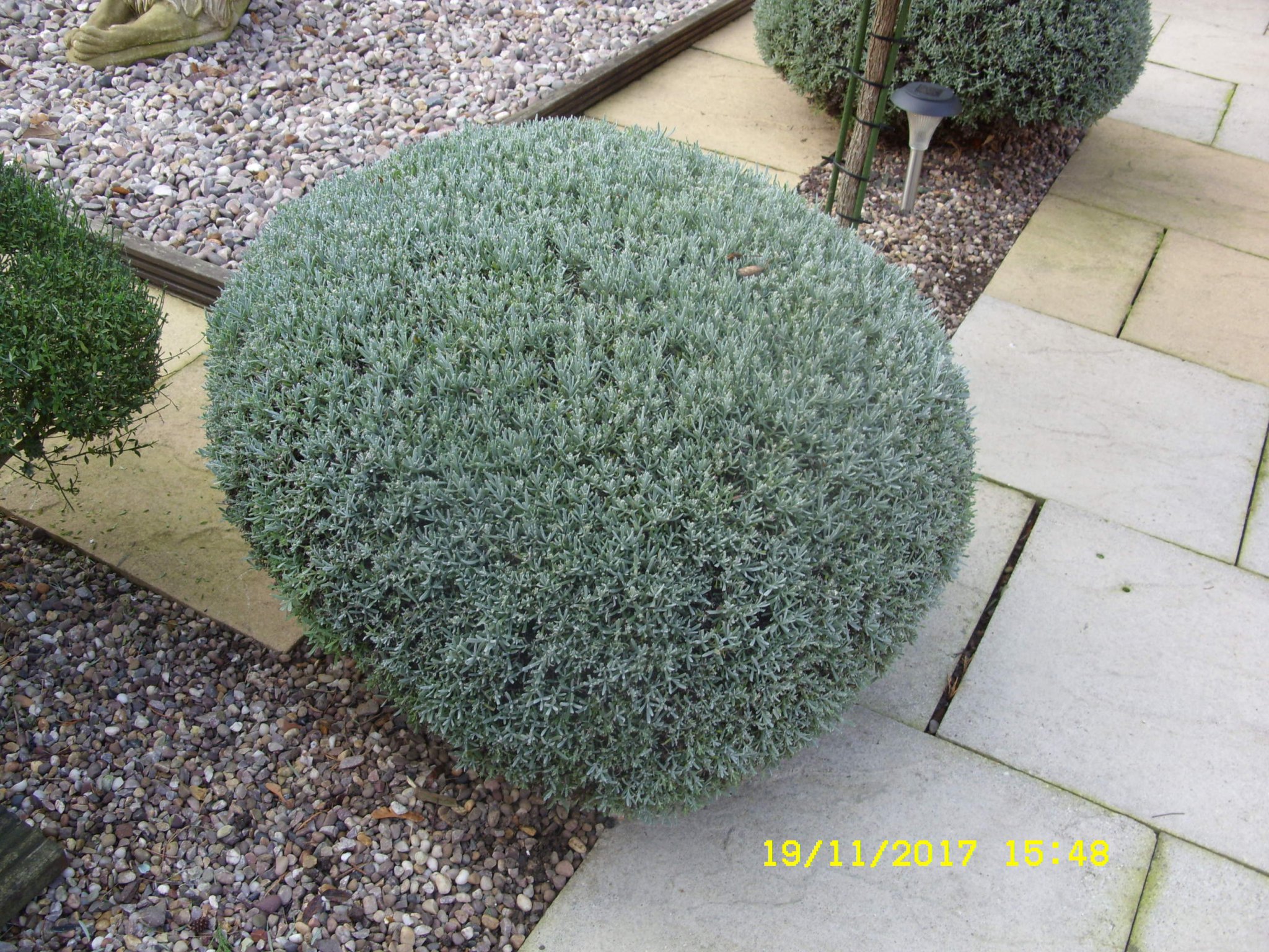 SDC13172.JPG