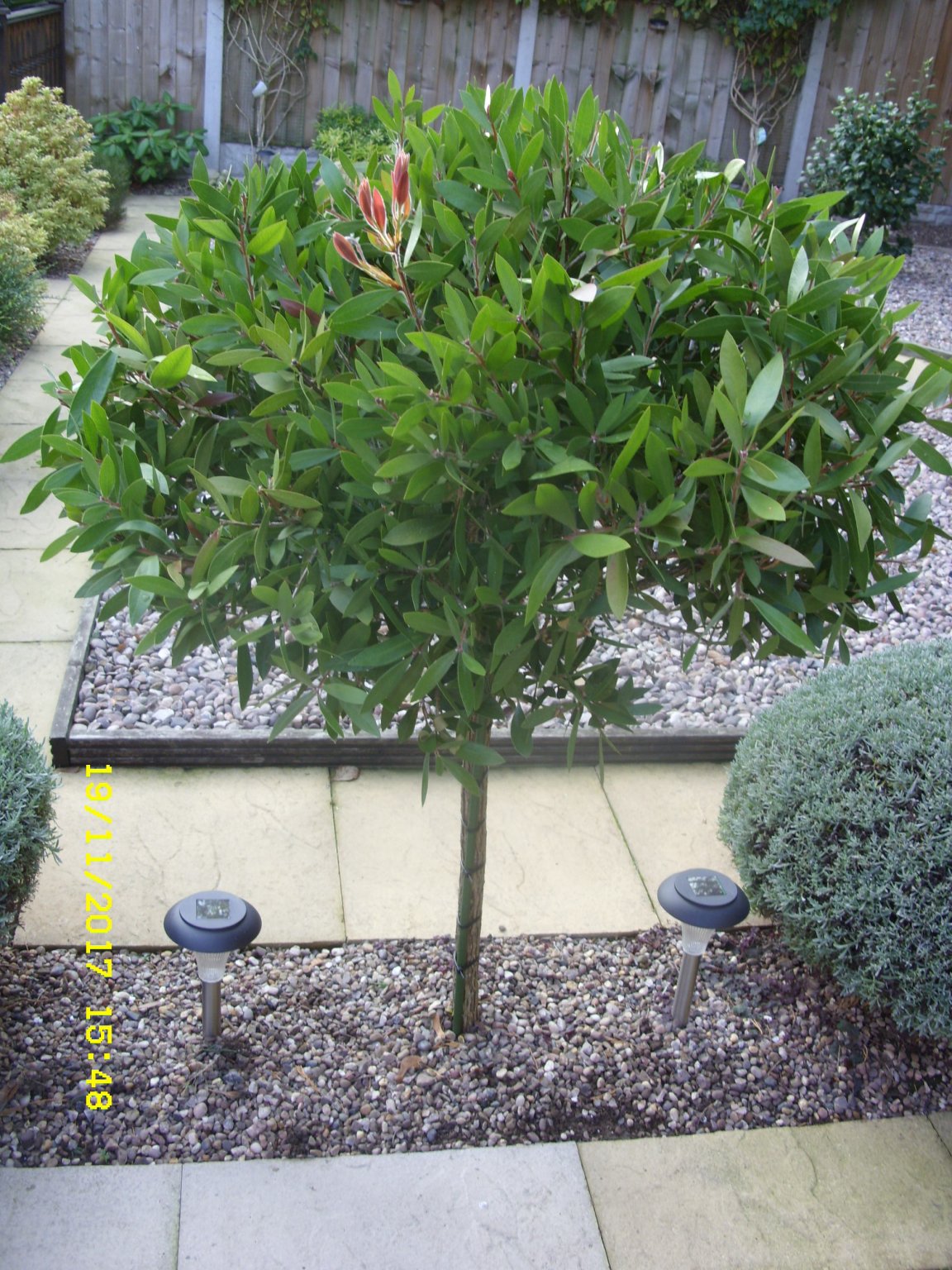 SDC13173.JPG