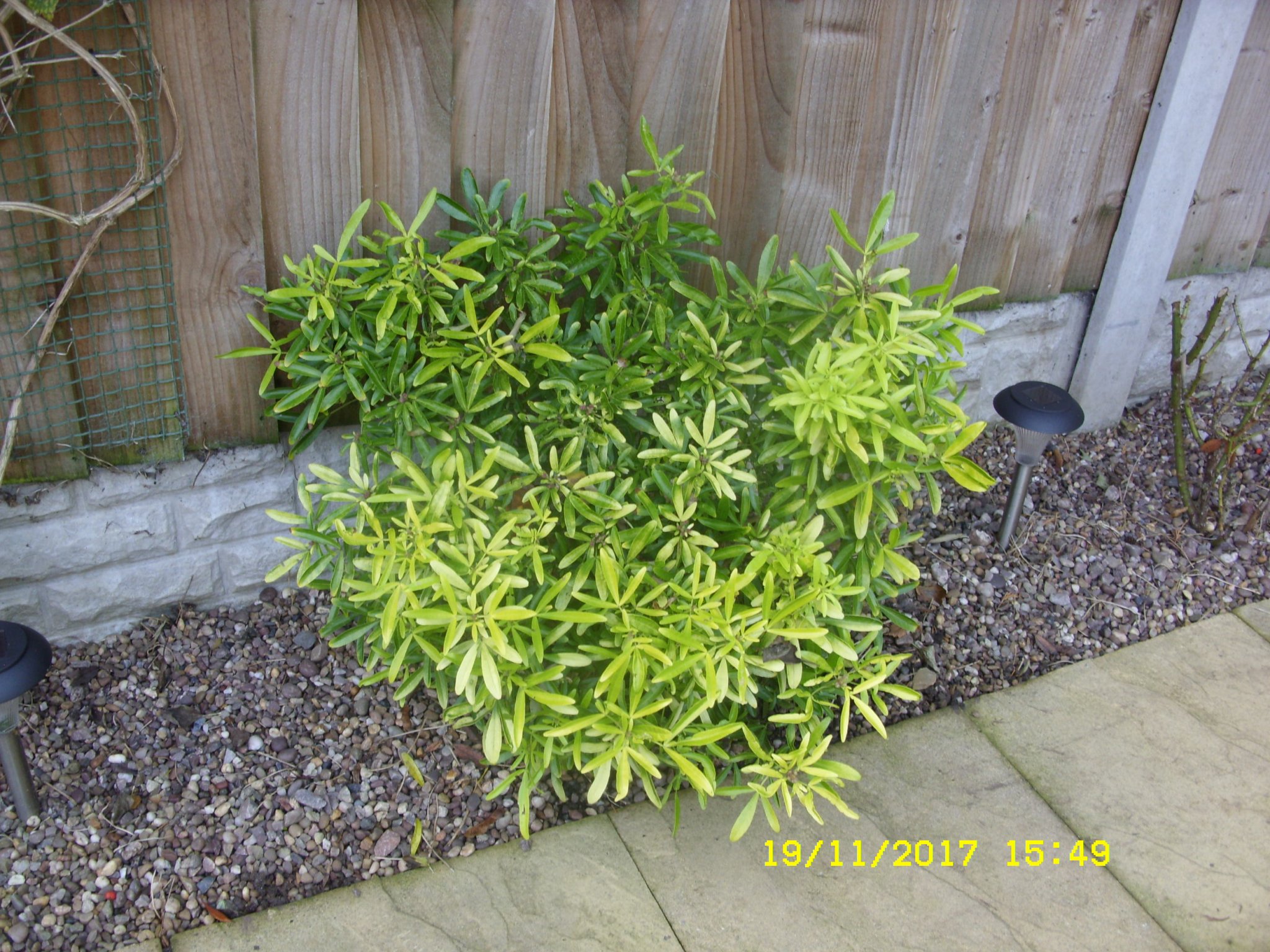 SDC13179.JPG
