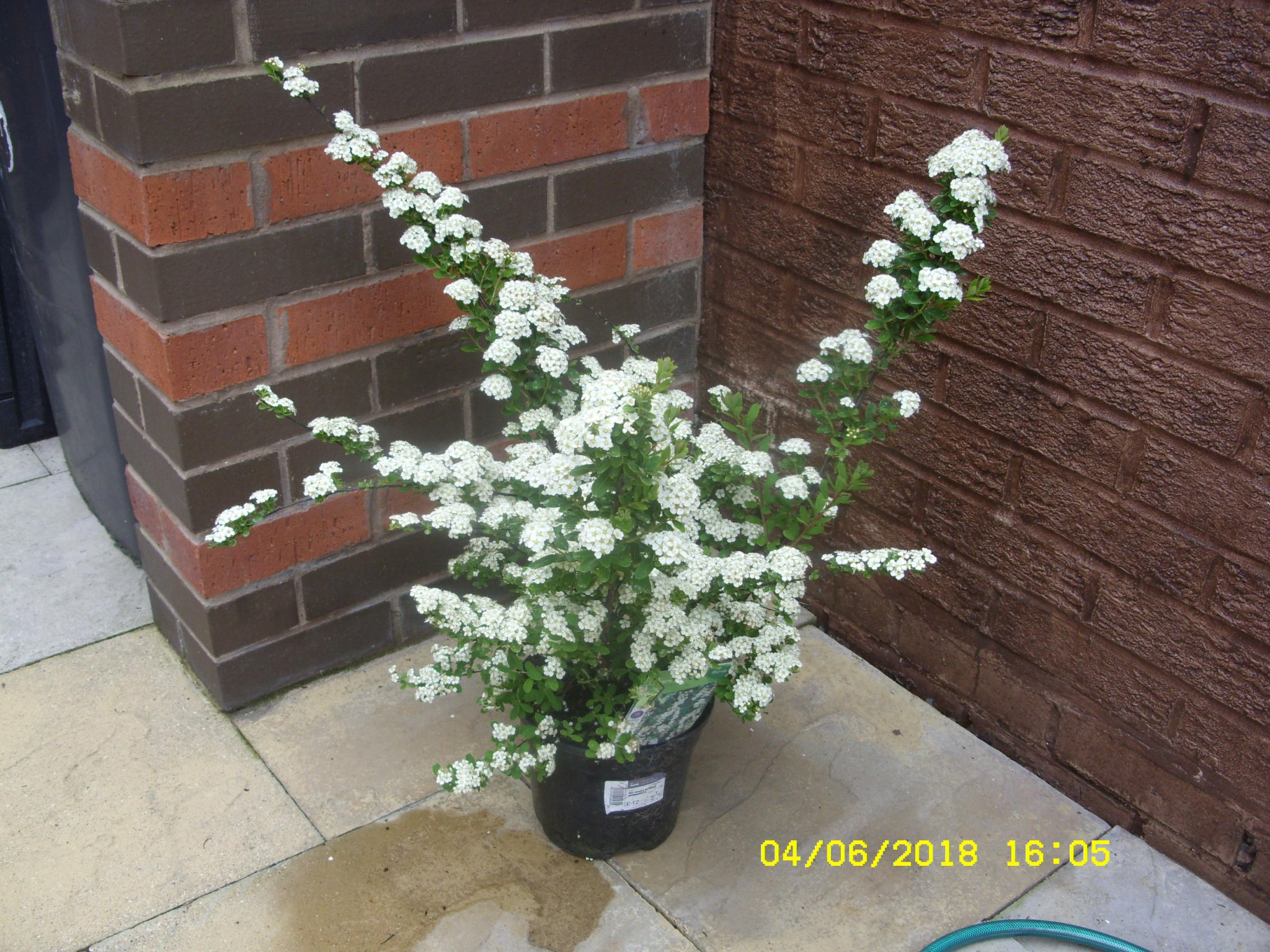 SDC15376.JPG