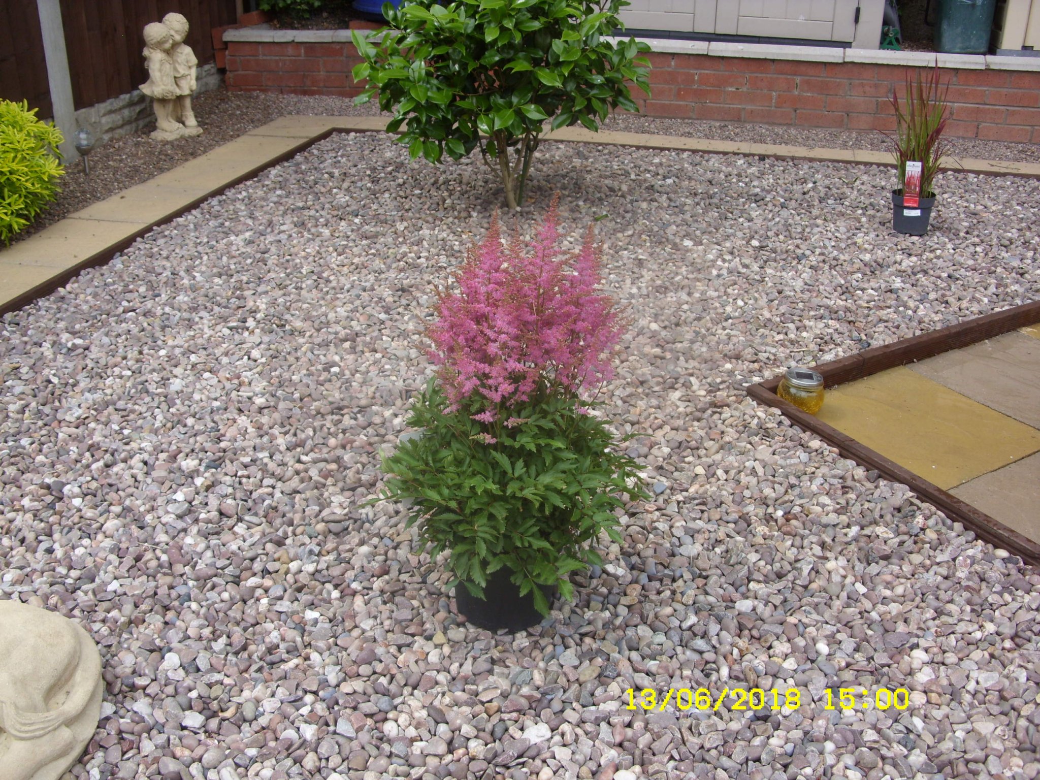 SDC15537.JPG