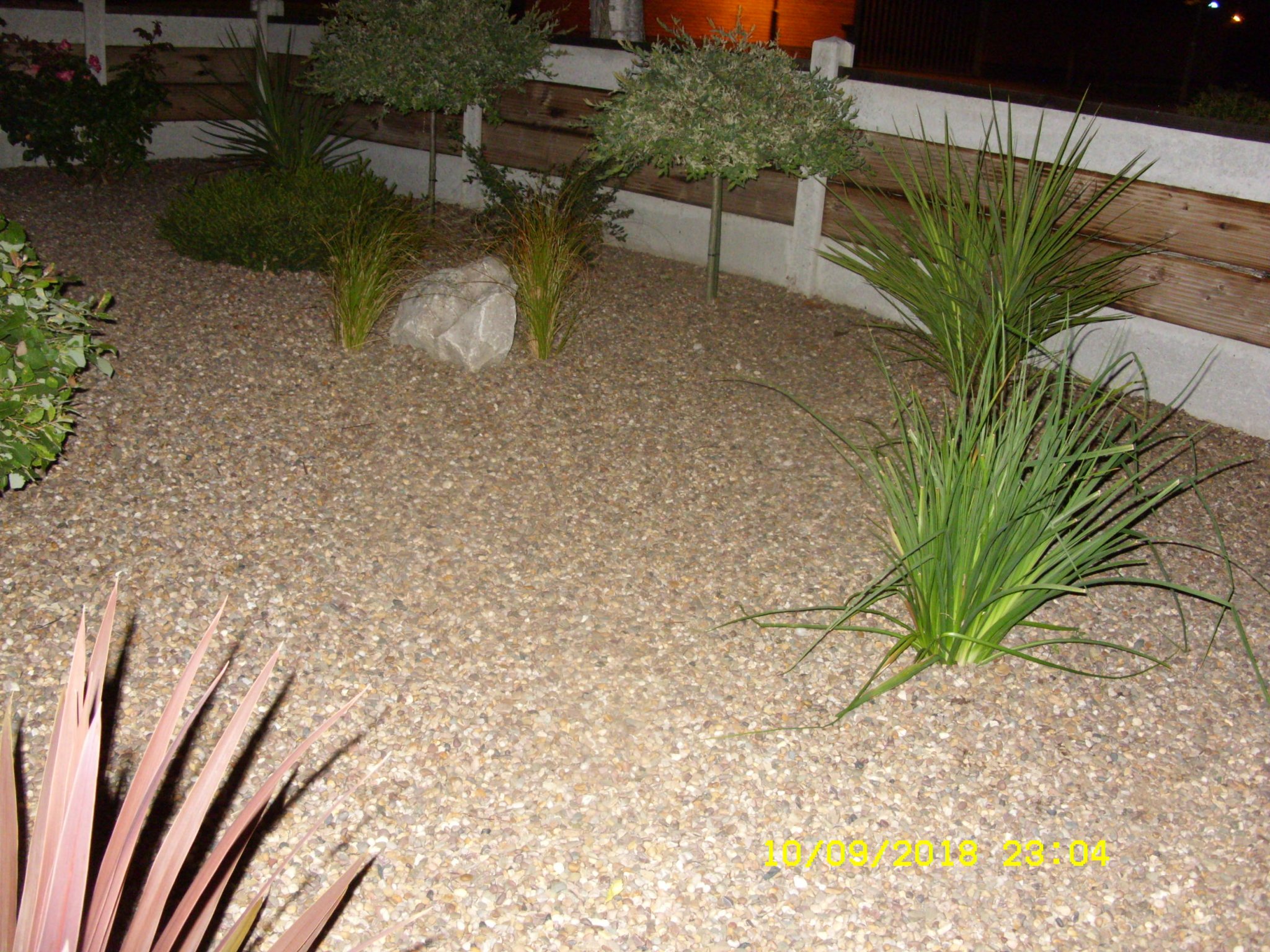 SDC17205.JPG