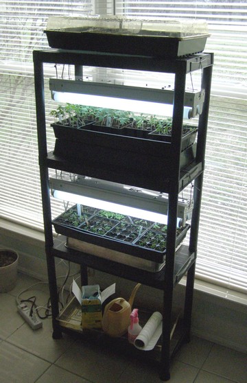 Seed Start 2.jpg