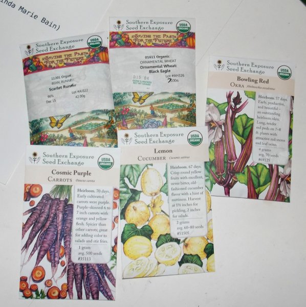 Seeds.JPG