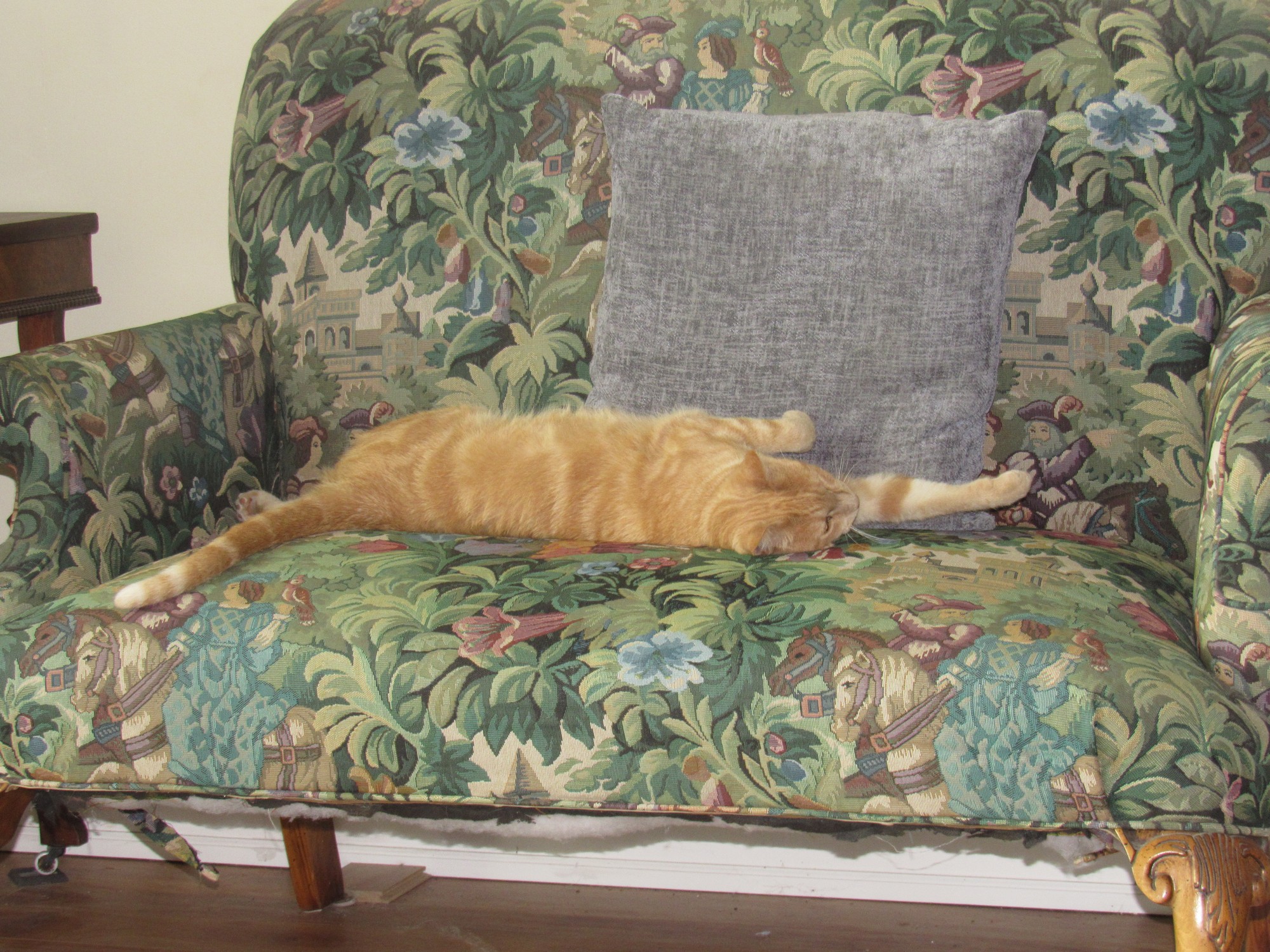 settee cat.jpg