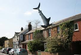 shark caption comp_zpsxkkzyfr0.jpg