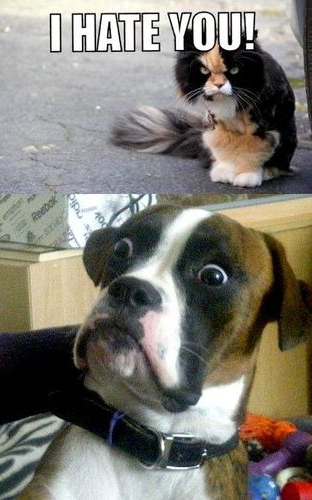 shocked.png