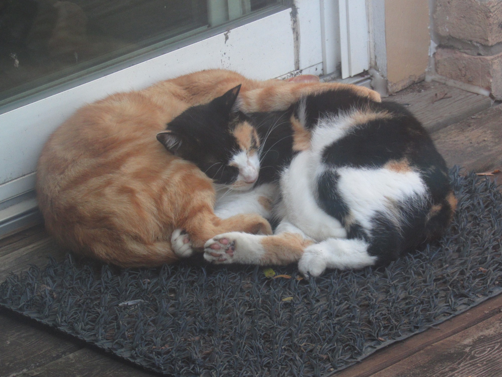 Sis and Bro naptime.jpg