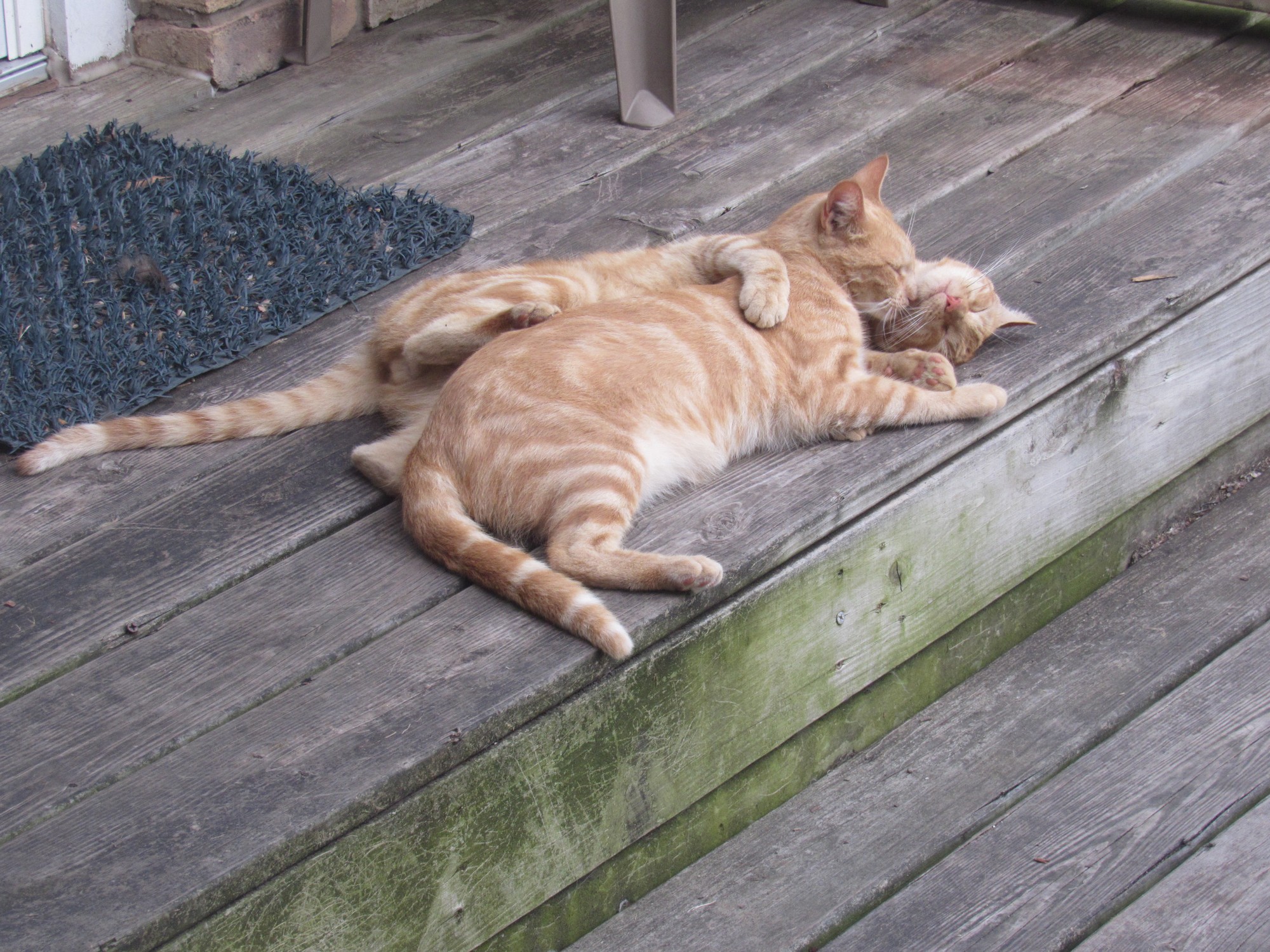 sister and brother.jpg