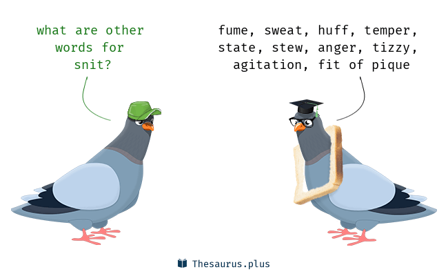 snit.png