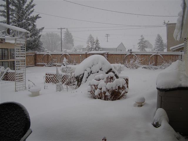 snow 001 (Small).JPG