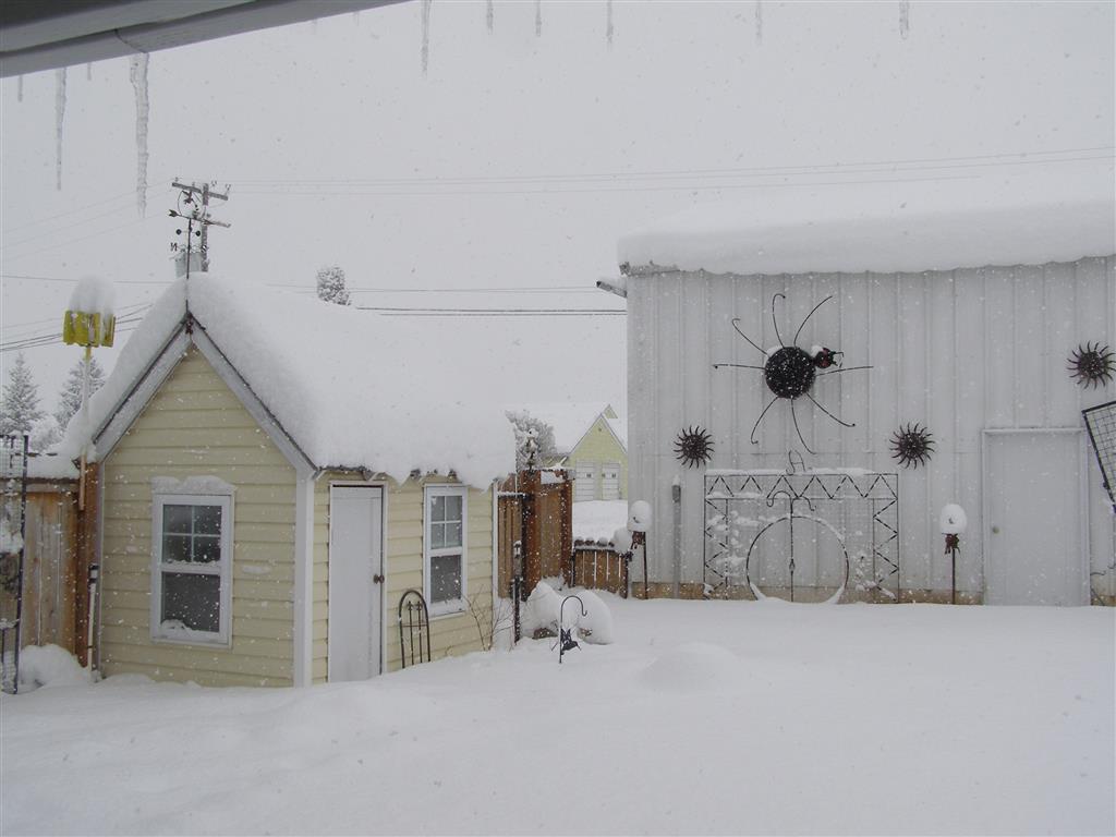 snow 003 (Medium).JPG