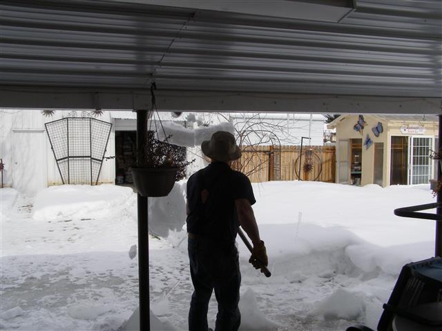 snow 2017 006 (Small).JPG