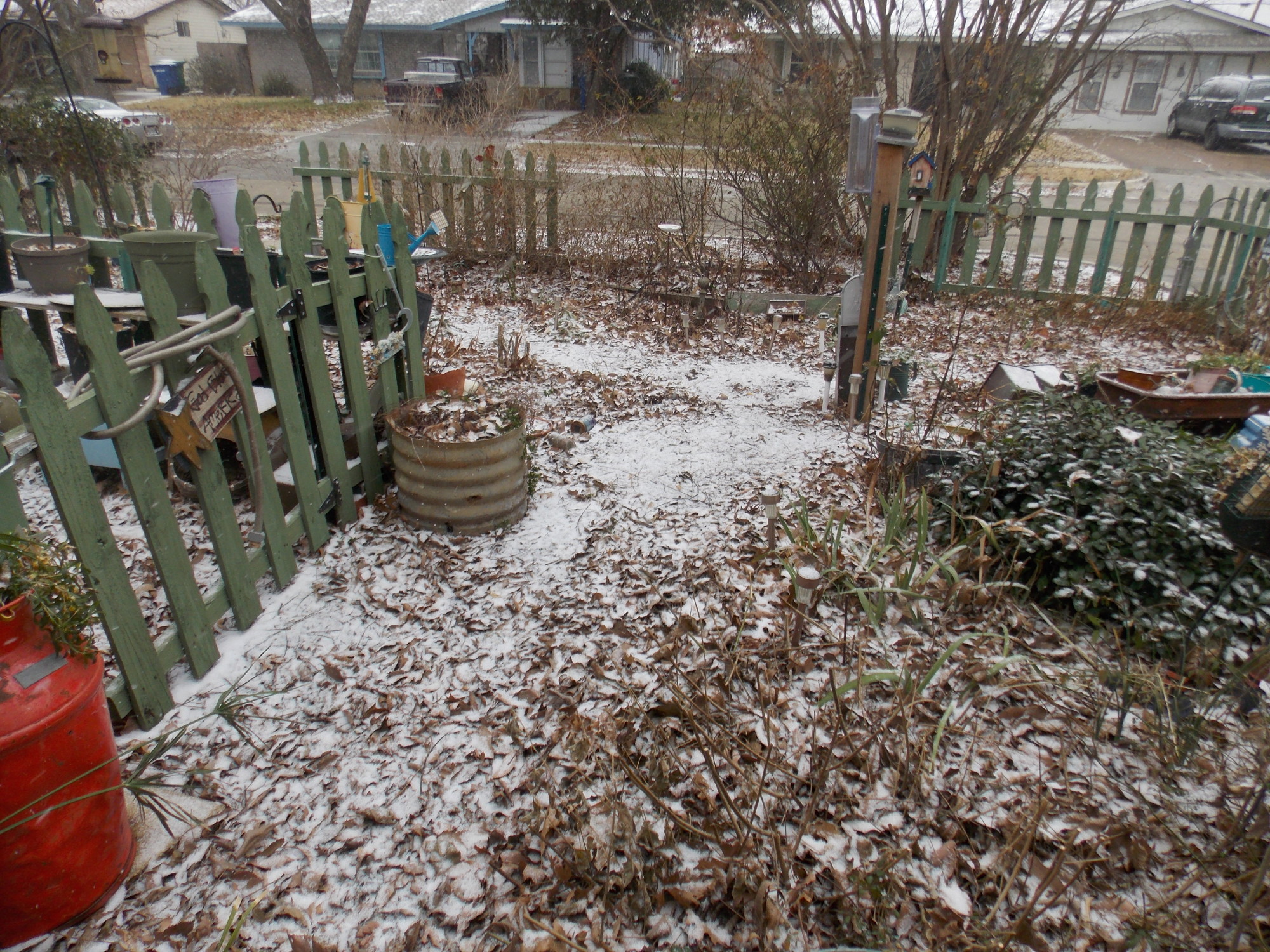 SNOW.JPG